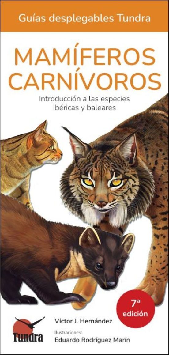 Mamíferos Carnívoros