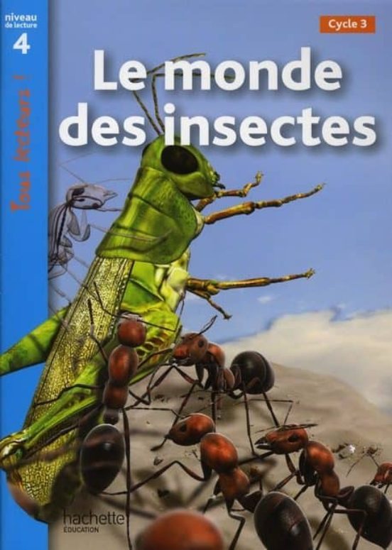 Monde Des Insectes