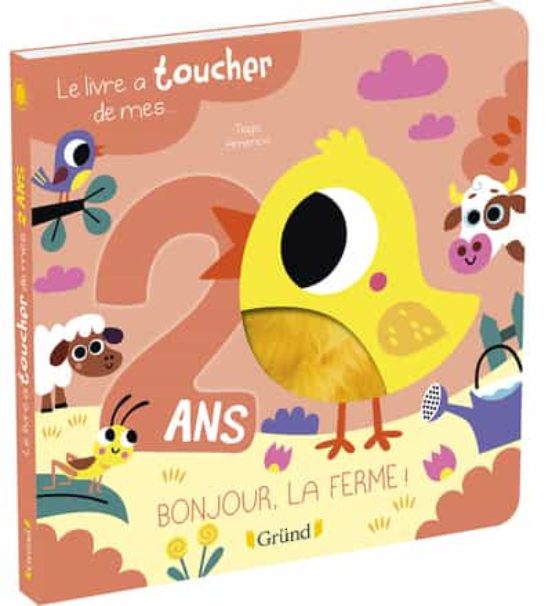 Le Livre A Toucher De Mes 2 Ans