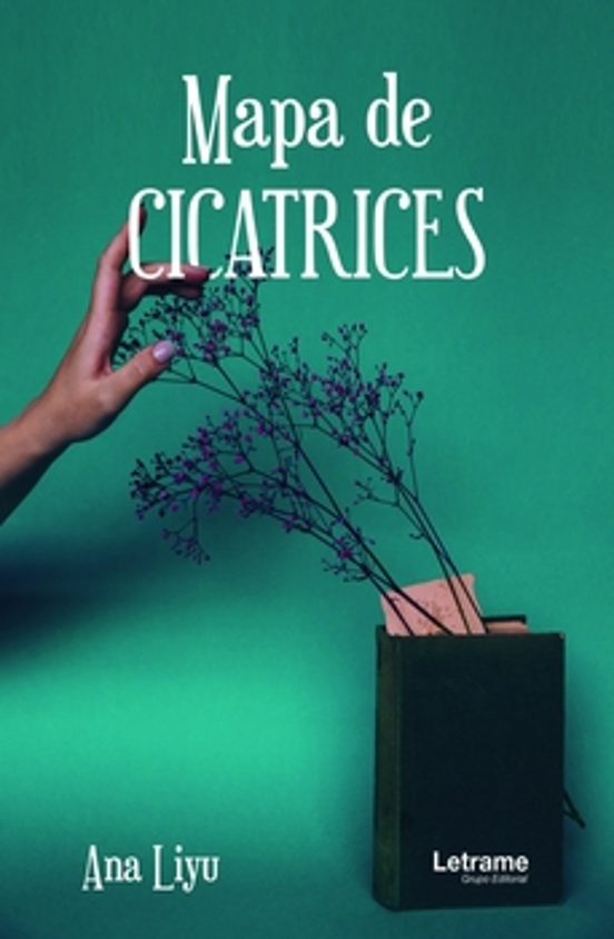 Mapa de cicatrices