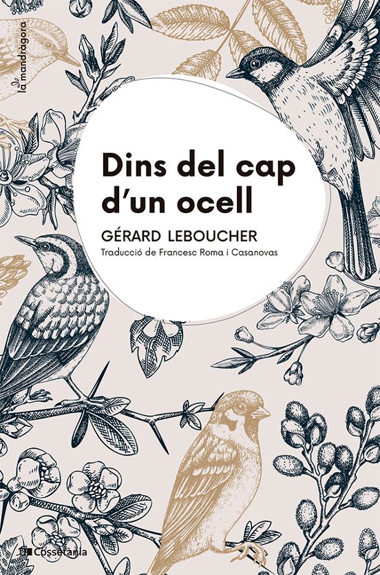 Dins del cap d'un ocell