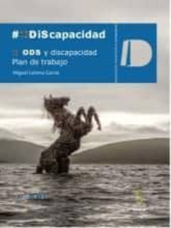 ODS Y Discapacidad. Plan De Trabajo