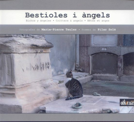 Bestioles i Angels = Bichos y Angeles