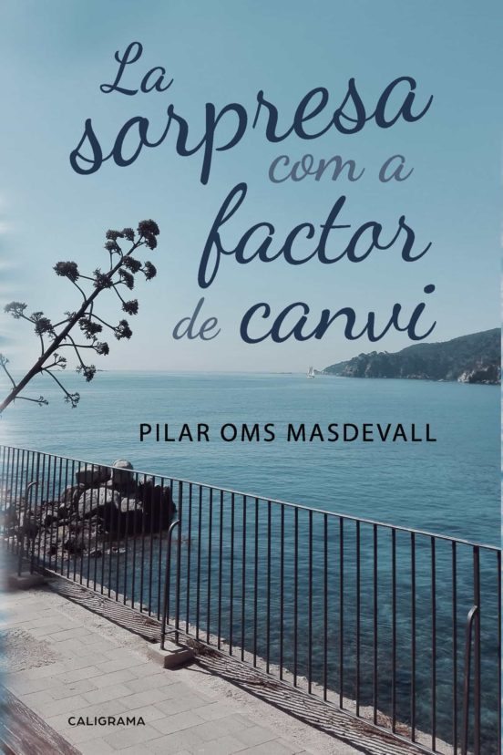 La Sorpresa Com A Factor De Canvi