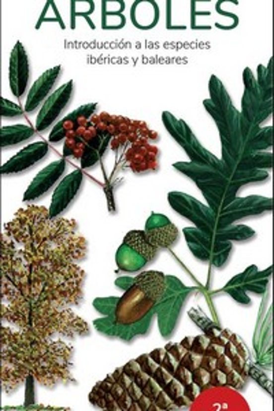 Árboles