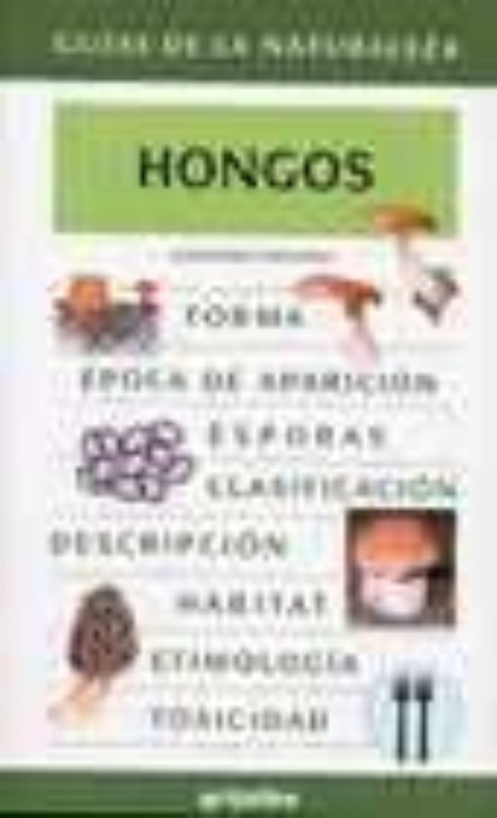 Hongos