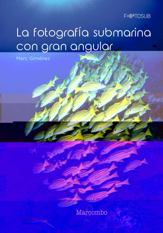 La Fotografía Submarina Con Gran Angular