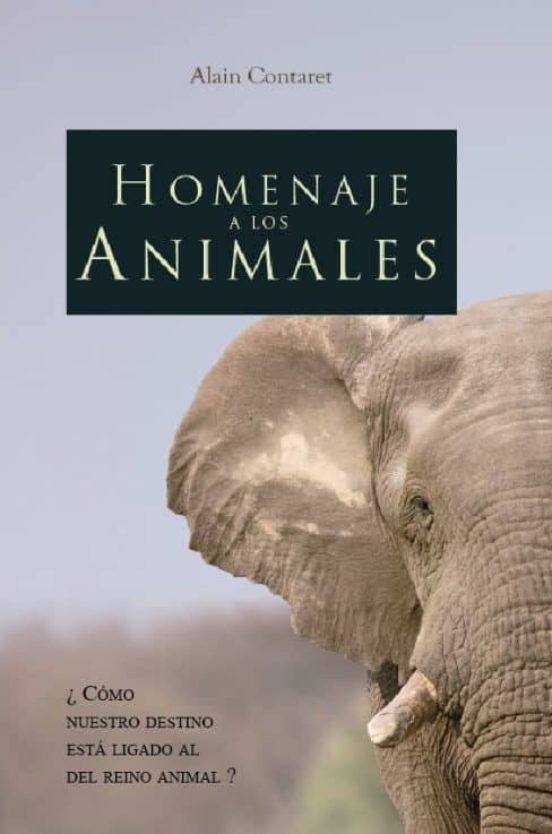 Homenaje A Los Animales