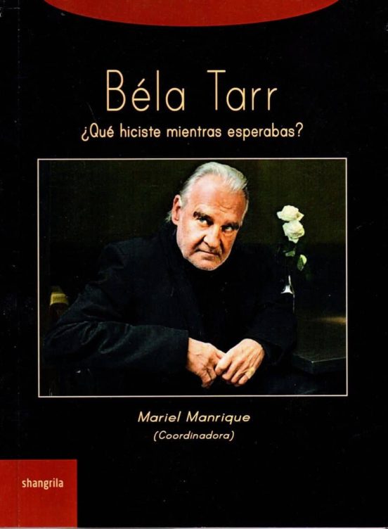 Béla Tarr ¿qué Hiciste Mientras Esperabas?