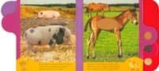 Las Crias De La Granja