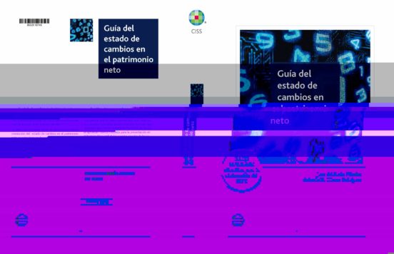 Guia Del Estado De Cambios En El Patrimonio Neto