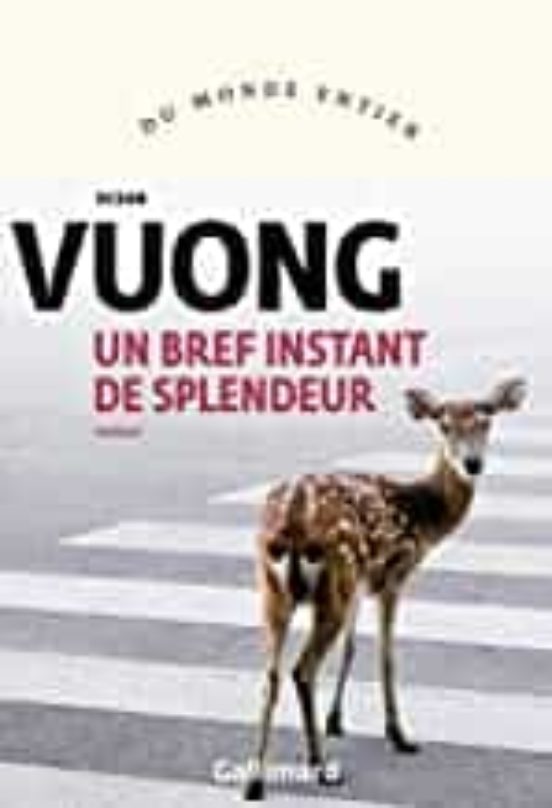 Un Bref Instant De Splendeur