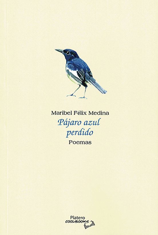 Pájaro Azul Perdido