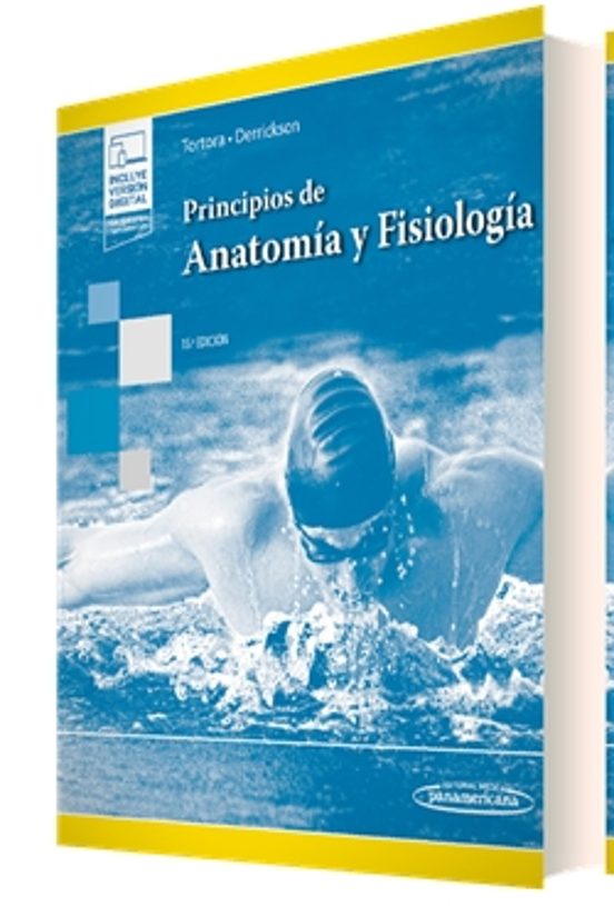 Principios De Anatomía Y Fisiología