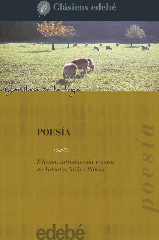 Poesia
