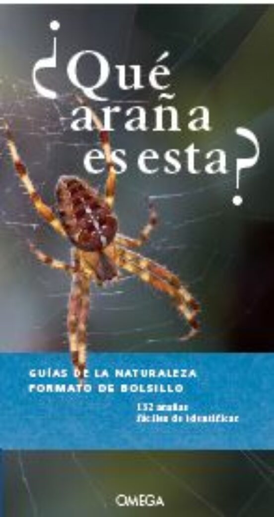 ¿que Araña Es Esta? - Guias De La Naturaleza