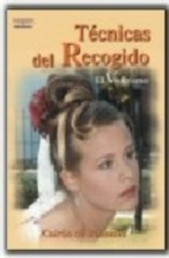 Técnicas Del Recogido. El Visagismo
