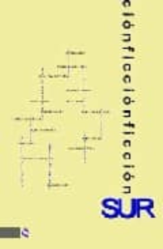Ficcion Sur: Antologia De Relatistas Andaluces