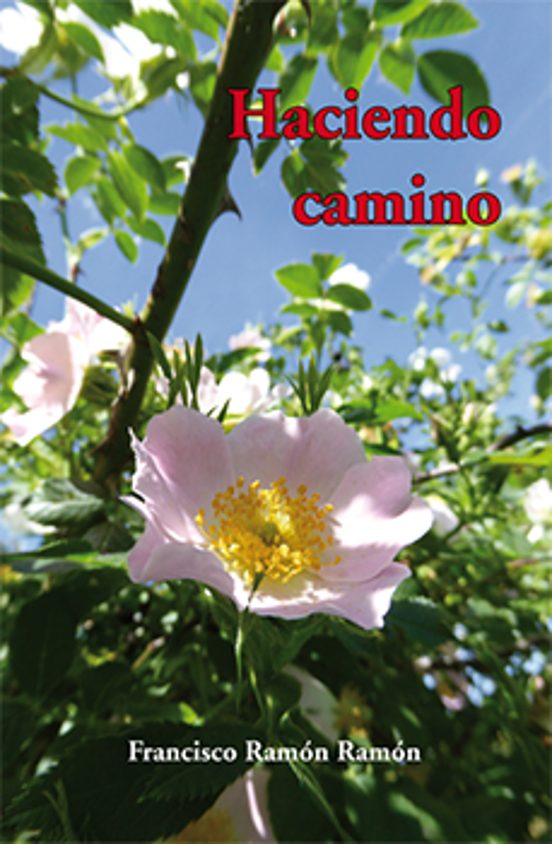 Haciendo Camino
