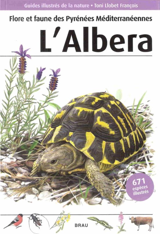 Flore Et Faune Des Pyrenees Mediterraneennnes. L Albera