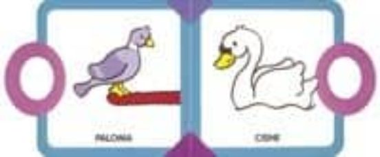 Animales
