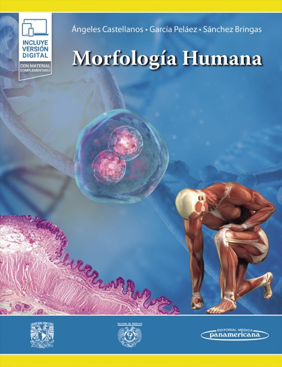 Morfologia Humana