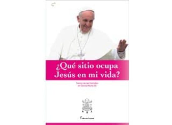 Homilias En Santa Marta