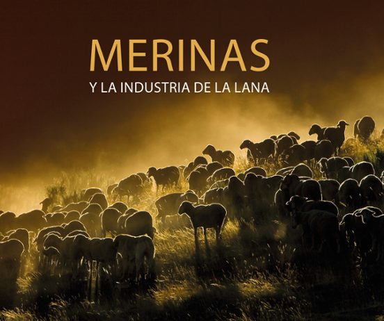 Merinas Y La Industria De La Lana