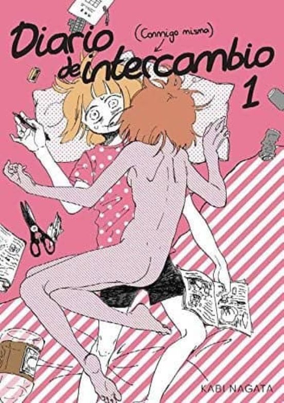 Diario De Intercambio Nº 1