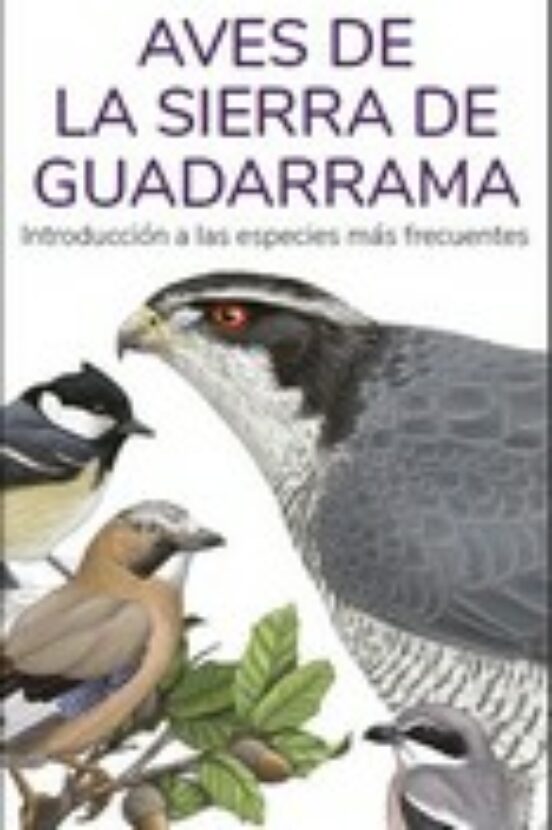 Aves De La Sierra De Guadarrama - Guias Desplegables Tundra