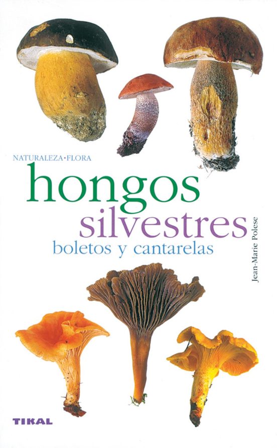 Hongos Silvestres Boletos