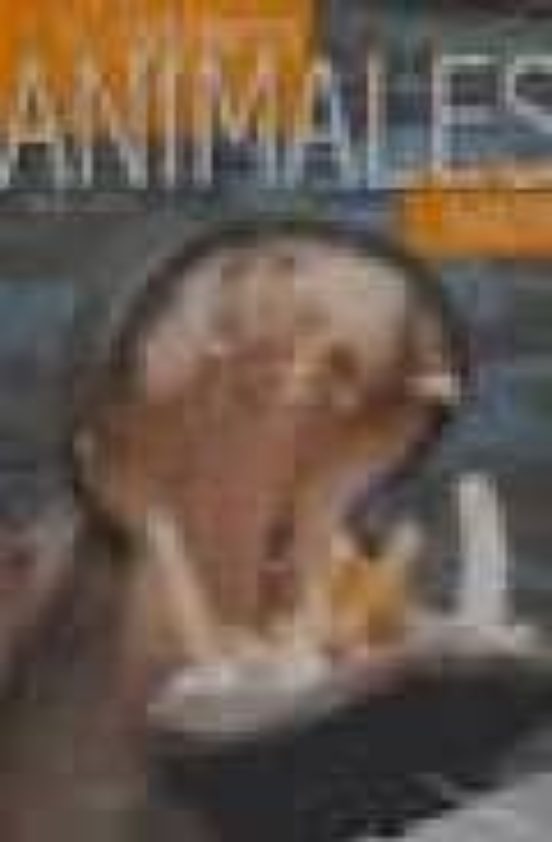 El Libro De Los Animales