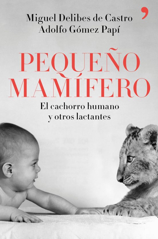 Pequeño Mamífero