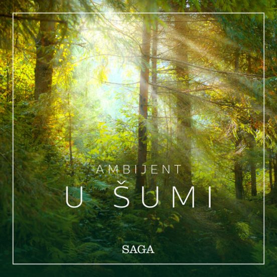 Ambijent – U Šumi