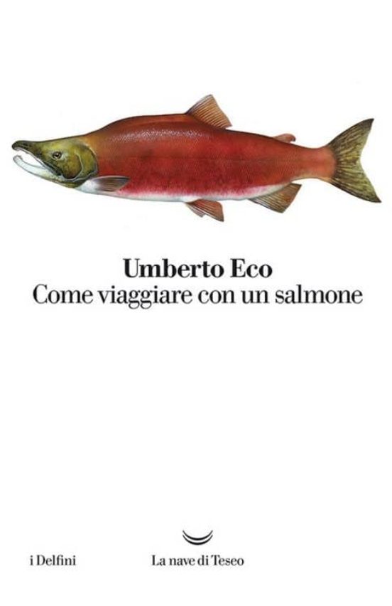 Come Viaggiare Con Un Salmone