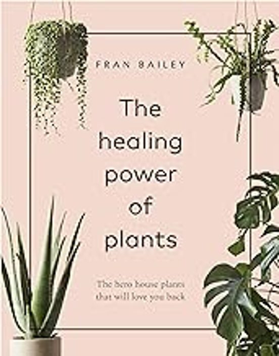 The Healing Power Of Plants: The Hero House Plants That Love You Back