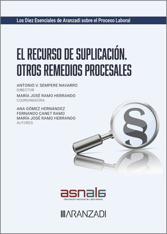 El Recurso De Suplicación. Otros Remedios Procesales