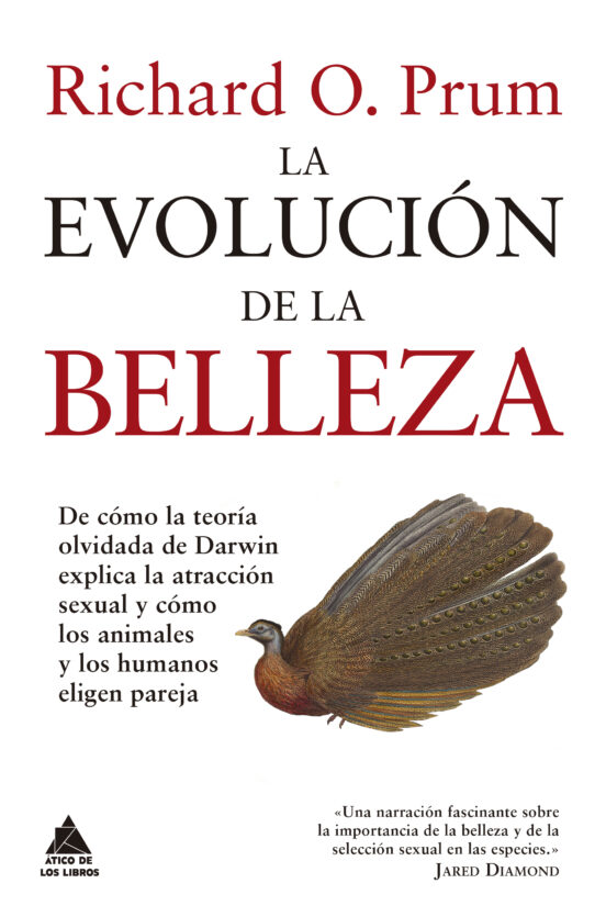 La Evolucion De La Belleza: De Cómo La Teoria Olvidada De Darwin Expli