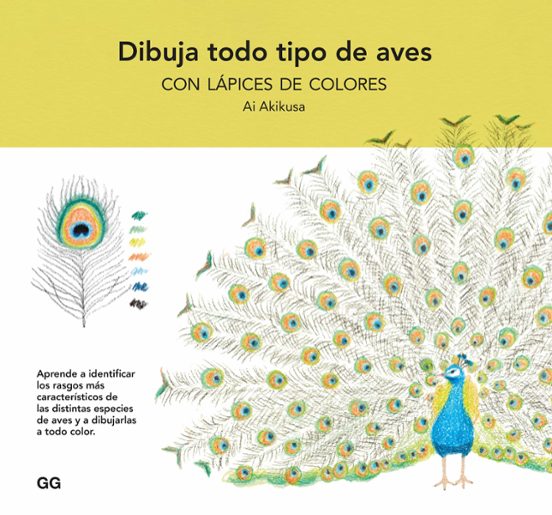 Dibuja Todo Tipo De Aves Con Lápices De Colores