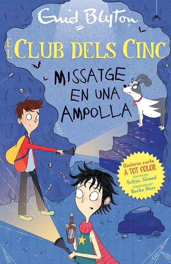 Missatge En Una Ampolla