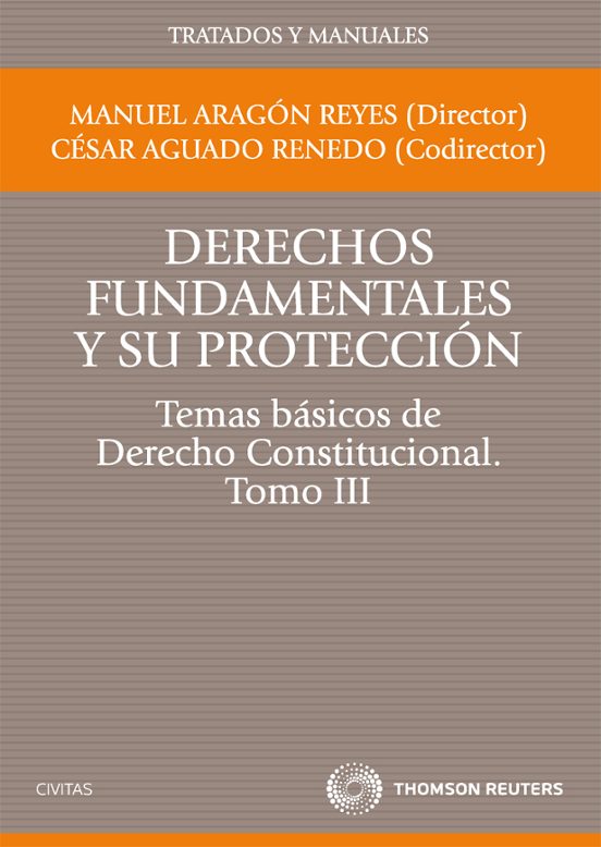 T3 Derechos Fundamentales Y Su Proteccion: Temas Basicos De Dere Cho