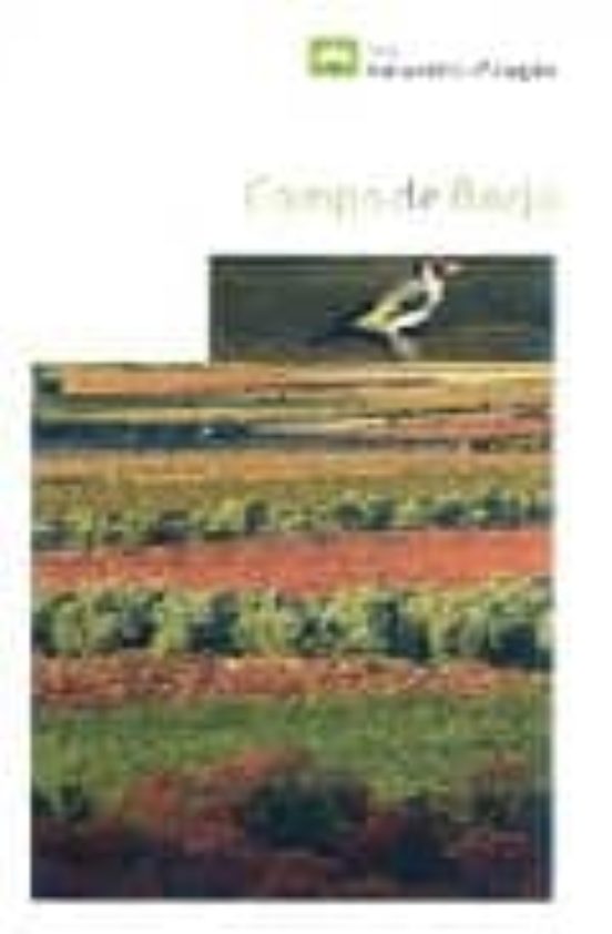 Campo De Borja