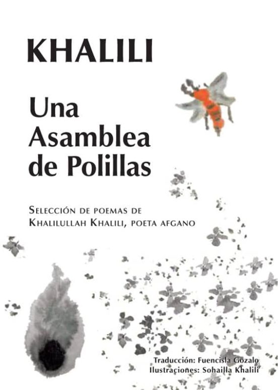 Una Asamblea De Polillas