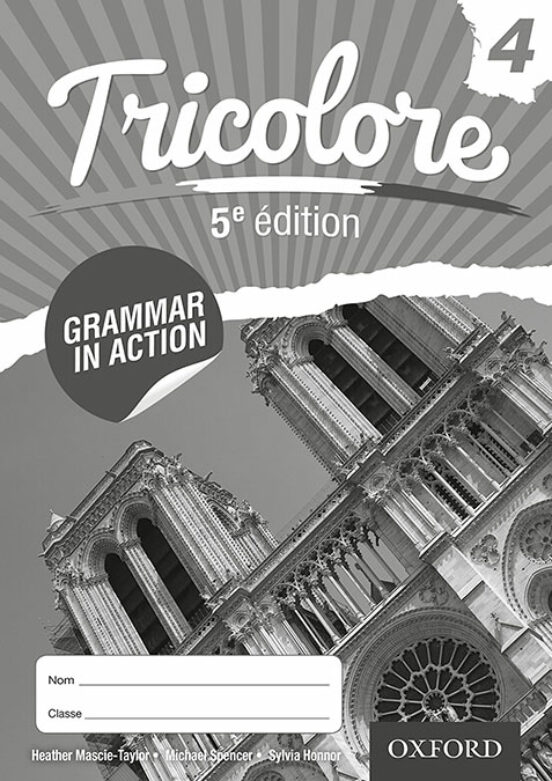 Tricolore 4: Grammar in Action Workbook: Pack of 8