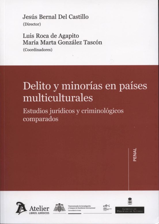 Delito Y Minorias En Paises Multiculturales: Estudios Juridicos Y Crim