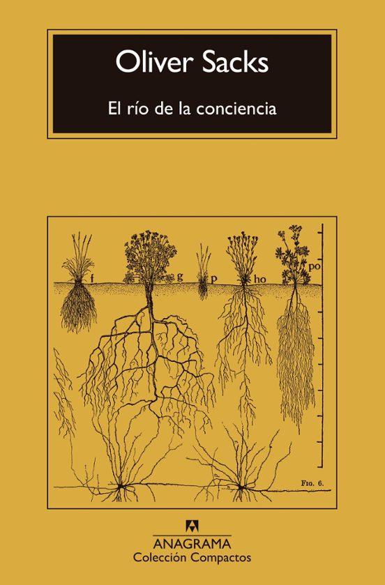 El Río De La Conciencia