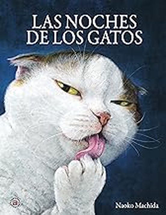 Las noches de los gatos
