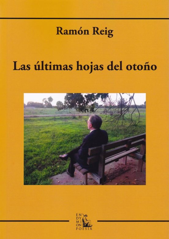Las últimas hojas del otoño