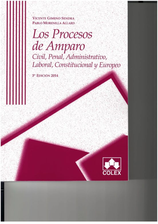 Los Procesos De Amparo : Civil Penal Administrativo Laboral C
