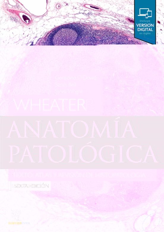 Wheater: Anatomia Patologica : Texto Atlas Y Revision De Histo